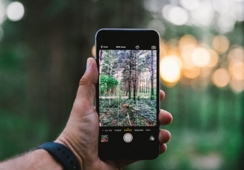 app para identificar plantas