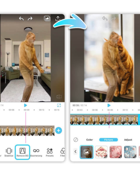 Como transformar sua foto em vídeo dançando grátis