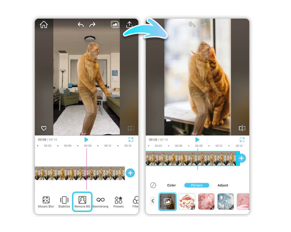 Como transformar sua foto em vídeo dançando grátis
