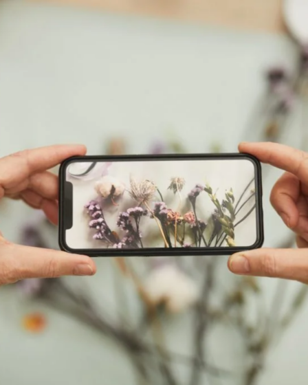 Aplicativo para identificar plantas