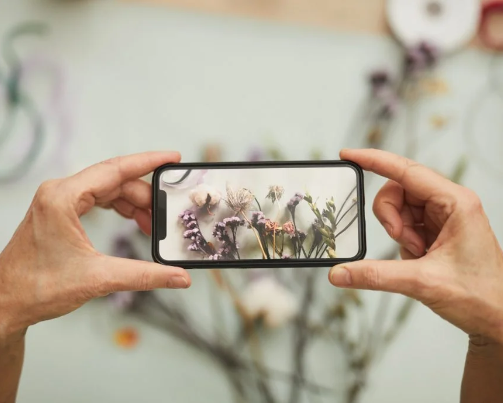 Aplicativo para identificar plantas
