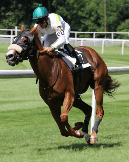 corrida de cavalo